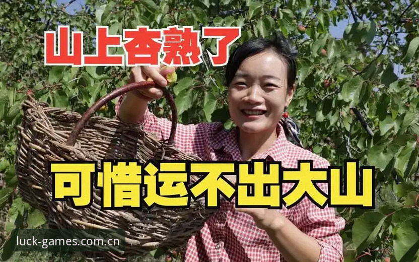 新手如何快速上手杏运娱乐网页版？需要注意哪些事项？