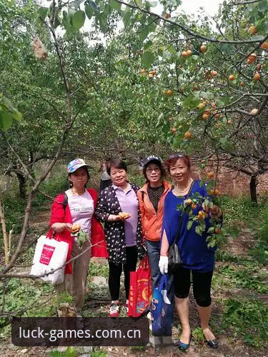 杏运娱乐安卓下载安装教程：新手快速上手指南